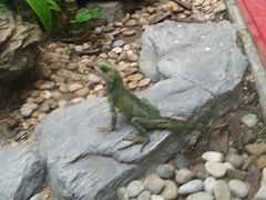 android_upload_pic-东部华侨城