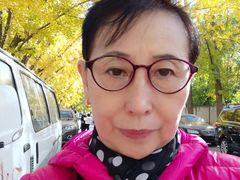 -三里屯东五街银杏大道