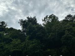 -严子陵钓台(富春江小三峡)