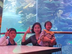 -泉城欧乐堡海洋极地世界
