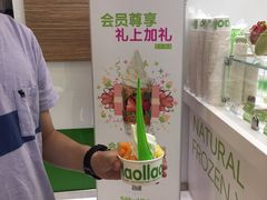 -Salud撒露欧洲冻酸奶(蓝色港湾店)