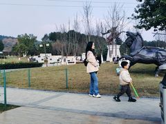 -铁山坪森林公园