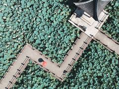 -东湖磨山景区
