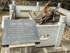 -泰山风景名胜区-普照寺