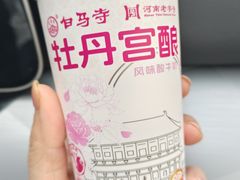 -洛阳古墓博物馆