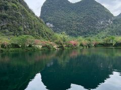-靖西鹅泉风景区