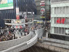 景观位-蟹道乐(道顿堀本店)