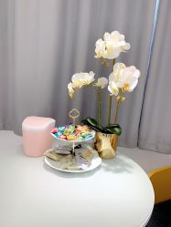 -MIVI野生眉纹绣纹眉