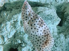 -福州罗源湾海洋世界旅游区