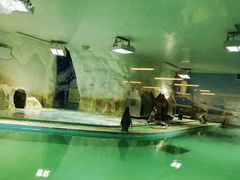 -北戴河圣蓝海洋公园