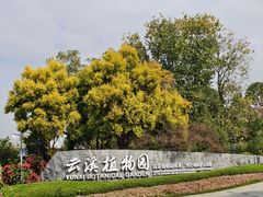 -云溪植物园
