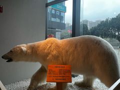 -魏客咖啡(中铁中心店)