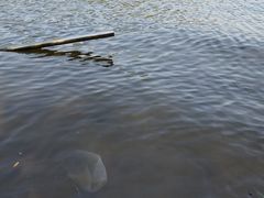 -沈阳辉山风景区