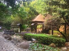 -明月山天沐温泉度假村