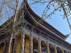 -正觉寺