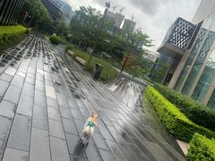 -万科前海企业公馆