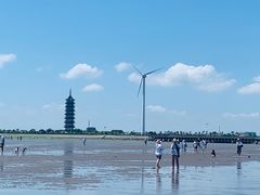 -碧海金沙