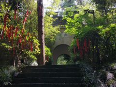 -梦姑塘文化公园