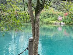 -靖西鹅泉风景区