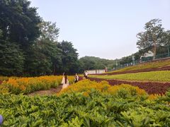-龙凤山庄影视度假村