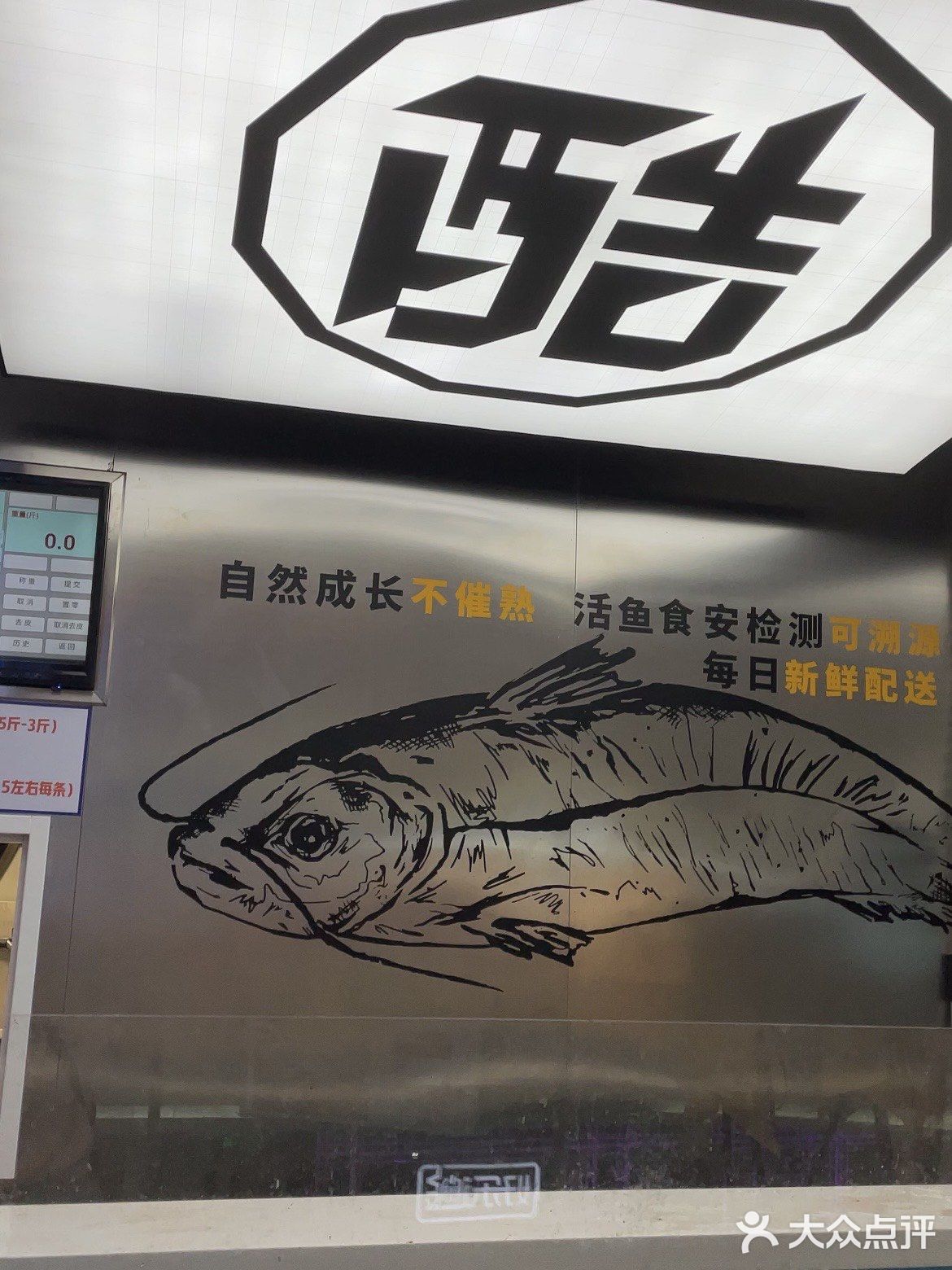 深夜美食探店系列
