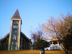 -成都保利公园皇冠假日酒店(熊猫基地店)