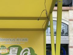 -维尔纳斯·生日蛋糕动物奶油冰淇淋蛋糕(人大店)
