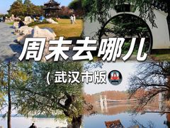 -东湖落雁景区