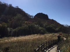 -白草畔自然风景区