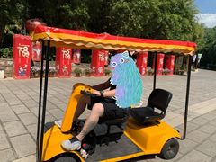 -云南民族村