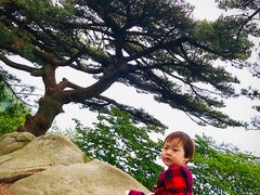 -罗田薄刀峰风景区