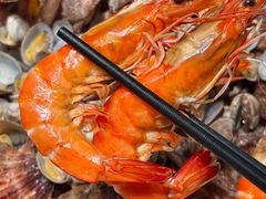 -单家老院·院子里的青岛菜(沙子口店)