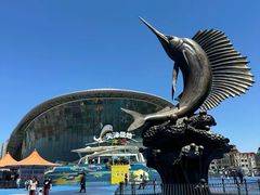 -海合安天津极地海洋公园
