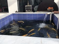 -北京龙庆四季香农家饭庄·灶台鱼·碳烤虹鳟鱼(龙庆峡店)