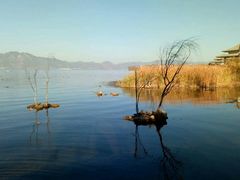 -抚仙湖禄充风景区