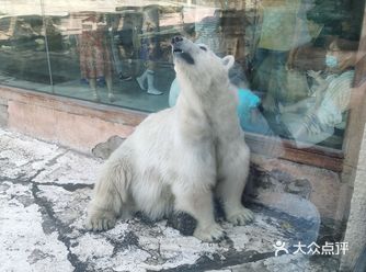 （这是一篇与游玩攻略毫不相关的小作文） 小时候去动物