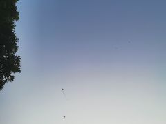 -人民公园(罗湖区)