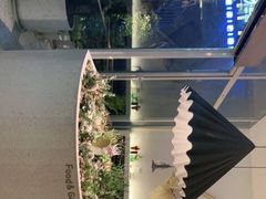 -春树下·树屋花房西餐厅(罍街AS1980店)