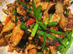 爆炒田鸡-壹盏灯(惠农店)