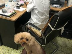 -成都民大动物医院