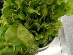 -古乐牛香·鲜牛肉牛杂火锅(新区店)