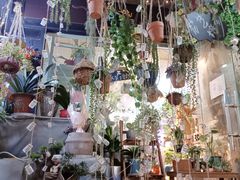 -循礼门鲜花花市(武汉循礼门店)