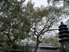 -普陀山风景名胜区-法雨禅寺