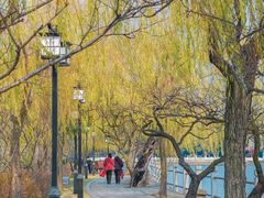 -无锡蠡湖国家湿地公园-蠡园