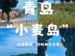 -小麦岛公园