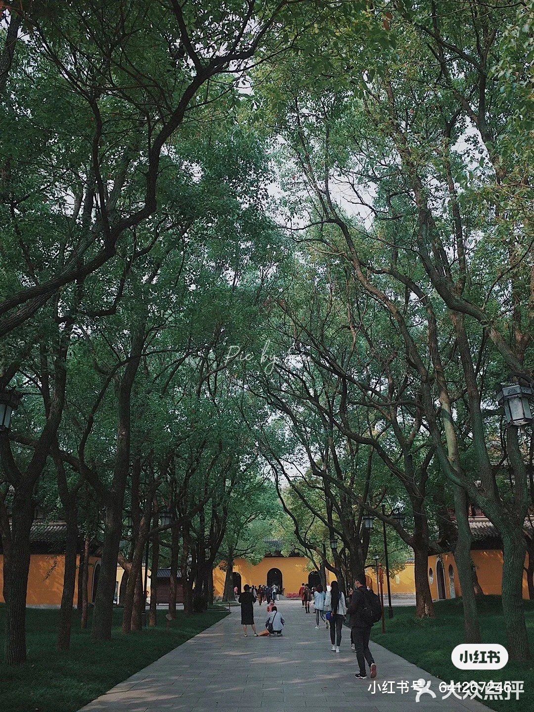 苏州｜入夏需静心，来西园寺抄经吃素禅修