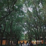 苏州｜入夏需静心，来西园寺抄经吃素禅修