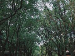 -西园戒幢律寺