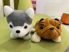 -雅悦齿科(顾村公园店)