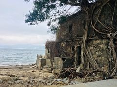 -东平洲海岸公园